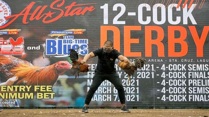 LIGA88 BET hadir dengan sabung ayam digital, kasino, slot, dan sportsbook.