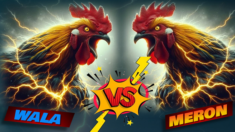 LIGA88 BET tawarkan banyak metode setoran judi sabung ayam populer.