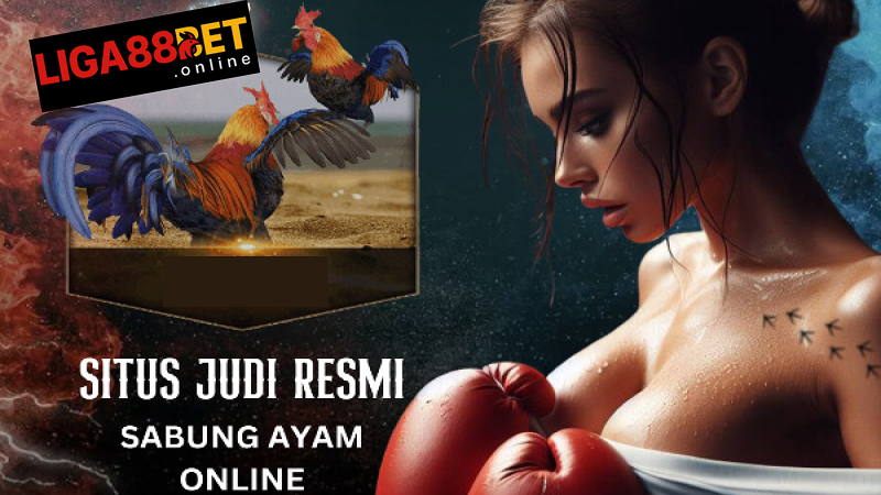 CS 24/7 selalu siap bantu jika ada masalah saat setoran judi sabung ayam.