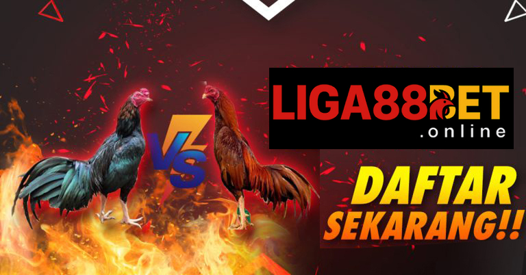 CS 24/7 multibahasa: dukung agen dan pemain kapan pun dibutuhkan.