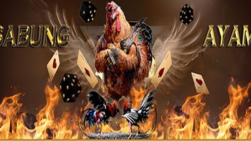 Filosofi jelas di halaman tentang kami: aman, adil, dan selalu menghibur