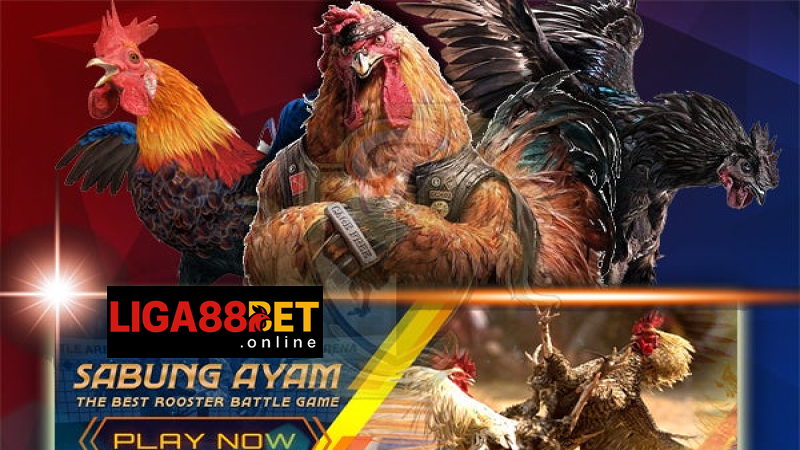 Hubungi kami segera jika ada masalah akun atau transaksi deposit withdraw