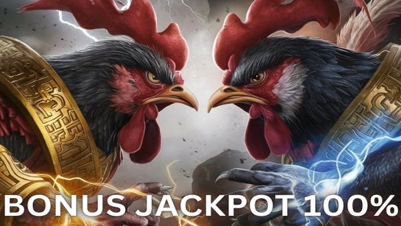 Member VIP LIGA88BET dapat jauh lebih banyak keuntungan dibanding pemain biasa.
