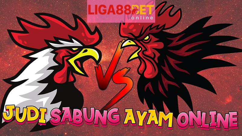 Tradisi klasik kini hadir modern lewat judi sabung ayam di LIGA88 BET
